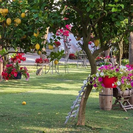 Giardino Di Nonno Lucio - Surrounded By Lemon Tree Σπίτι διακοπών