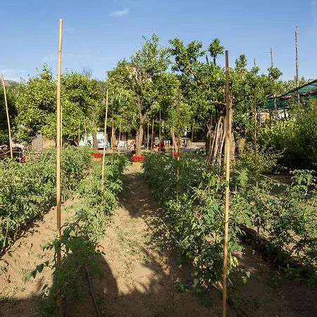 Giardino Di Nonno Lucio - Surrounded By Lemon Tree Σπίτι διακοπών *