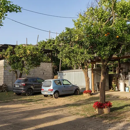 Giardino Di Nonno Lucio - Surrounded By Lemon Tree Σπίτι διακοπών Πιάνο ντι Σορέντο