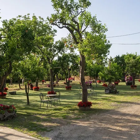 Giardino Di Nonno Lucio - Surrounded By Lemon Tree Σπίτι διακοπών *