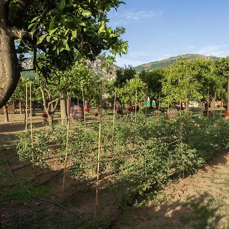 Giardino Di Nonno Lucio - Surrounded By Lemon Tree Σπίτι διακοπών Πιάνο ντι Σορέντο
