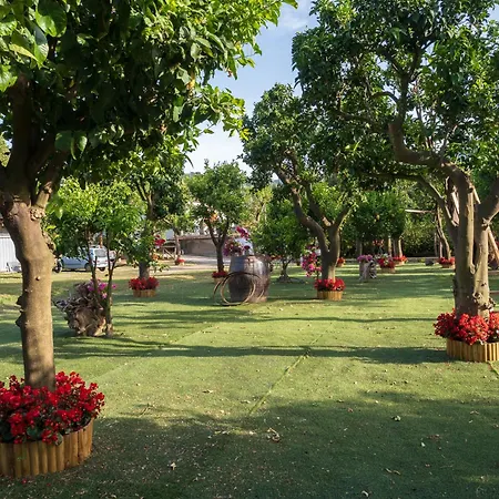 Σπίτι διακοπών Giardino Di Nonno Lucio - Surrounded By Lemon Tree Πιάνο ντι Σορέντο
