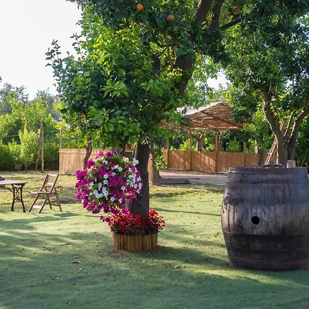 Giardino Di Nonno Lucio - Surrounded By Lemon Tree Σπίτι διακοπών