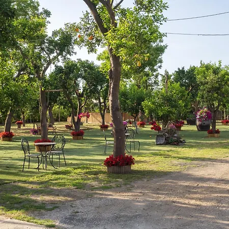 Giardino Di Nonno Lucio - Surrounded By Lemon Tree Σπίτι διακοπών Πιάνο ντι Σορέντο