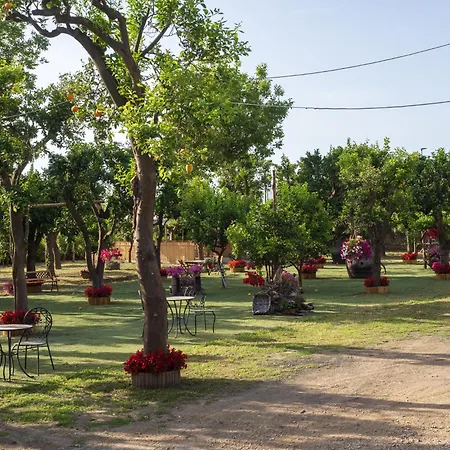 Giardino Di Nonno Lucio - Surrounded By Lemon Tree *