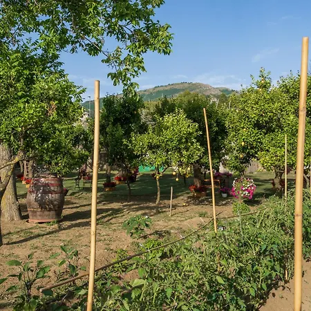 Giardino Di Nonno Lucio - Surrounded By Lemon Tree Σπίτι διακοπών