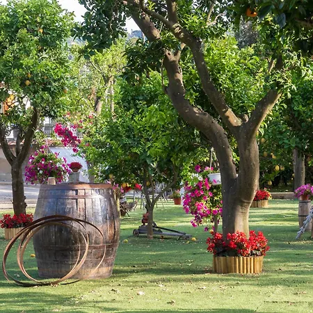Giardino Di Nonno Lucio - Surrounded By Lemon Tree Σπίτι διακοπών *