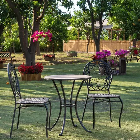 Σπίτι διακοπών Giardino Di Nonno Lucio - Surrounded By Lemon Tree Πιάνο ντι Σορέντο