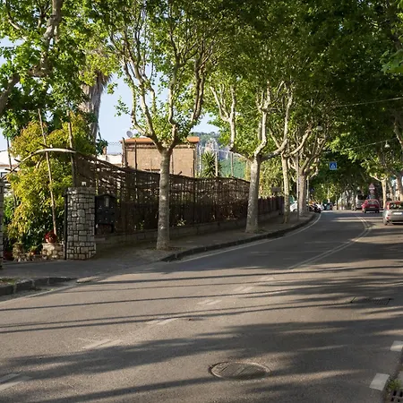Giardino Di Nonno Lucio - Surrounded By Lemon Tree Πιάνο ντι Σορέντο