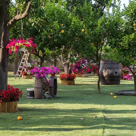 Σπίτι διακοπών Giardino Di Nonno Lucio - Surrounded By Lemon Tree *