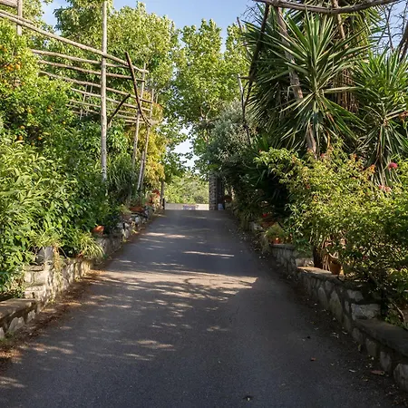 Giardino Di Nonno Lucio - Surrounded By Lemon Tree