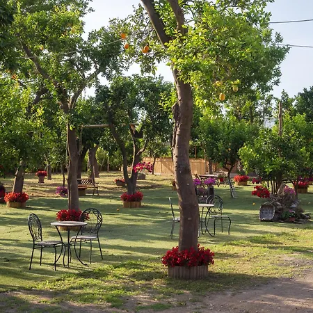 Giardino Di Nonno Lucio - Surrounded By Lemon Tree Holiday home *