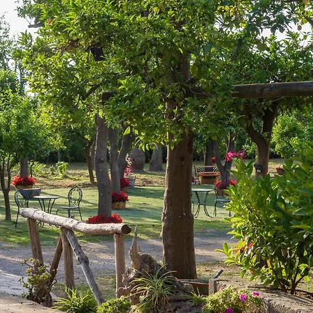 Giardino Di Nonno Lucio - Surrounded By Lemon Tree *