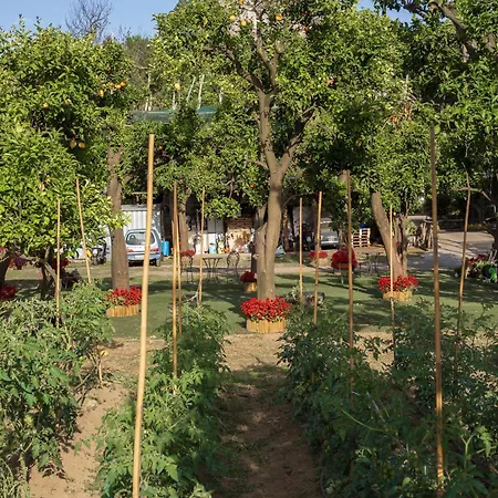 Giardino Di Nonno Lucio - Surrounded By Lemon Tree