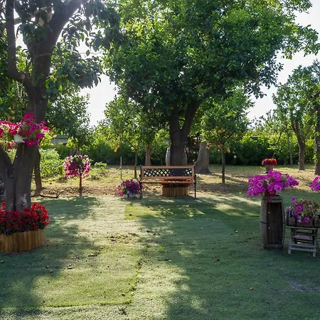 Giardino Di Nonno Lucio - Surrounded By Lemon Tree *